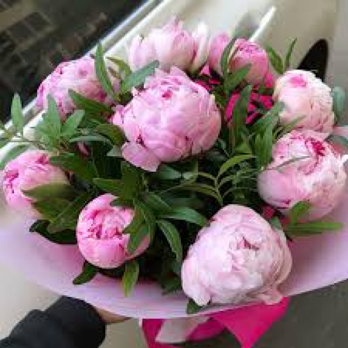 Пион древовидный в Семее