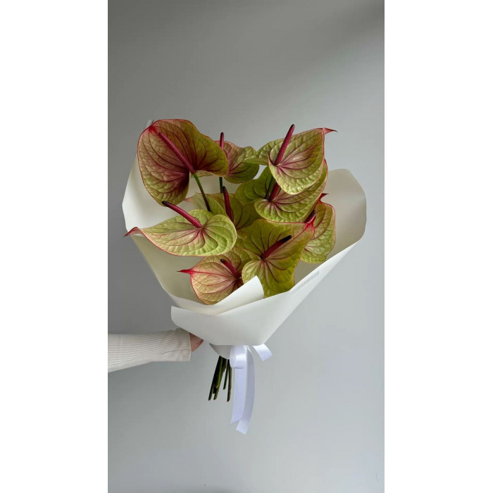 Антуриумы в Семее