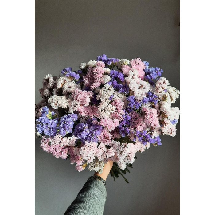 Статица (Лимониум) в Семее