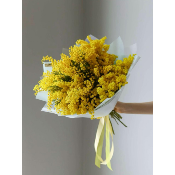 Мимоза в Семее