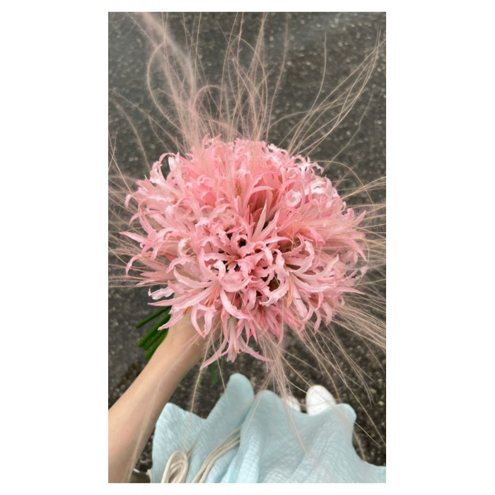 Нерине в Семее