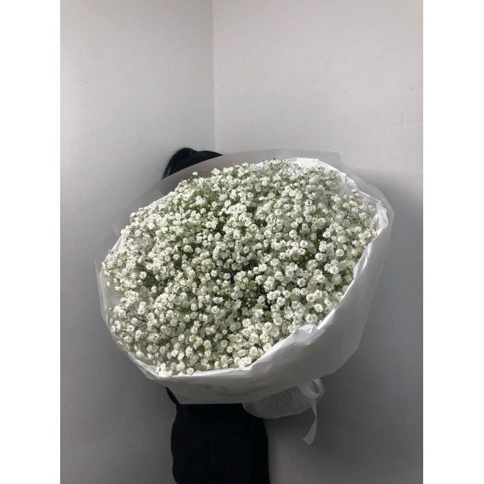 Гипсофила классическая в Семее