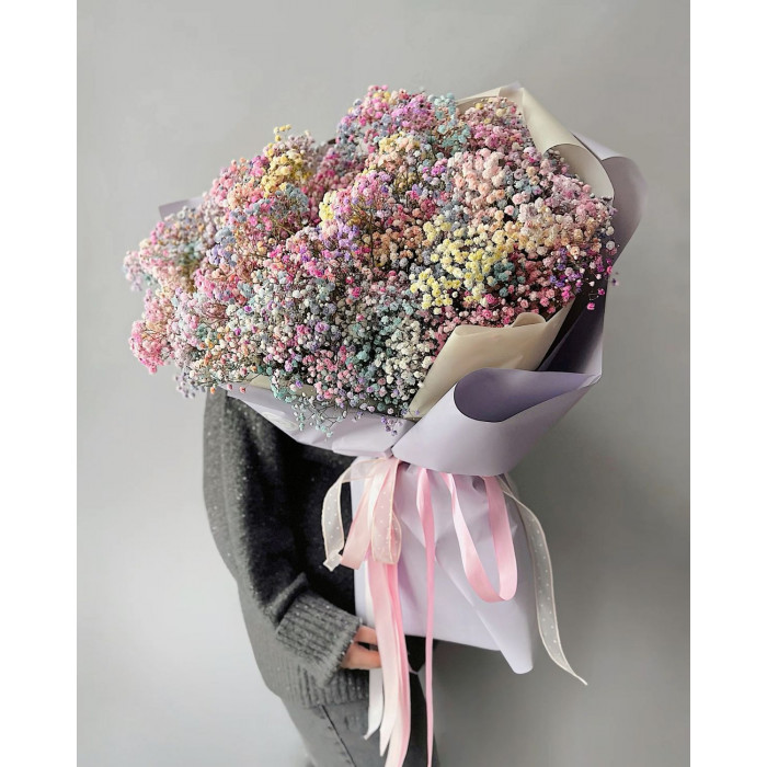 Гипсофила цветная в Семее