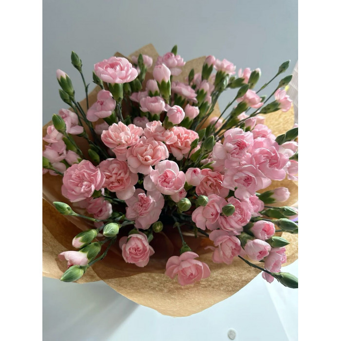 Кустовые гвоздики в Семее