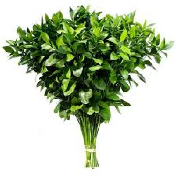 Рускус в Семее