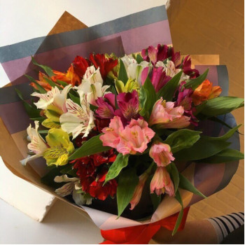 Белый мишка Белый мишка