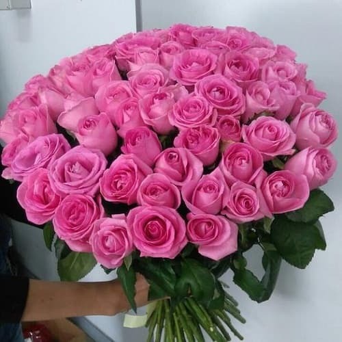 Купить на заказ Букет из 75 розовых роз с доставкой в Семее